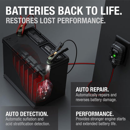 Revive & Maintain Your Dead Batteries Automatically