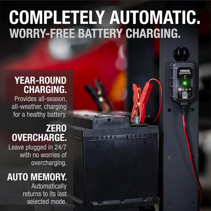 Revive & Maintain Your Dead Batteries Automatically