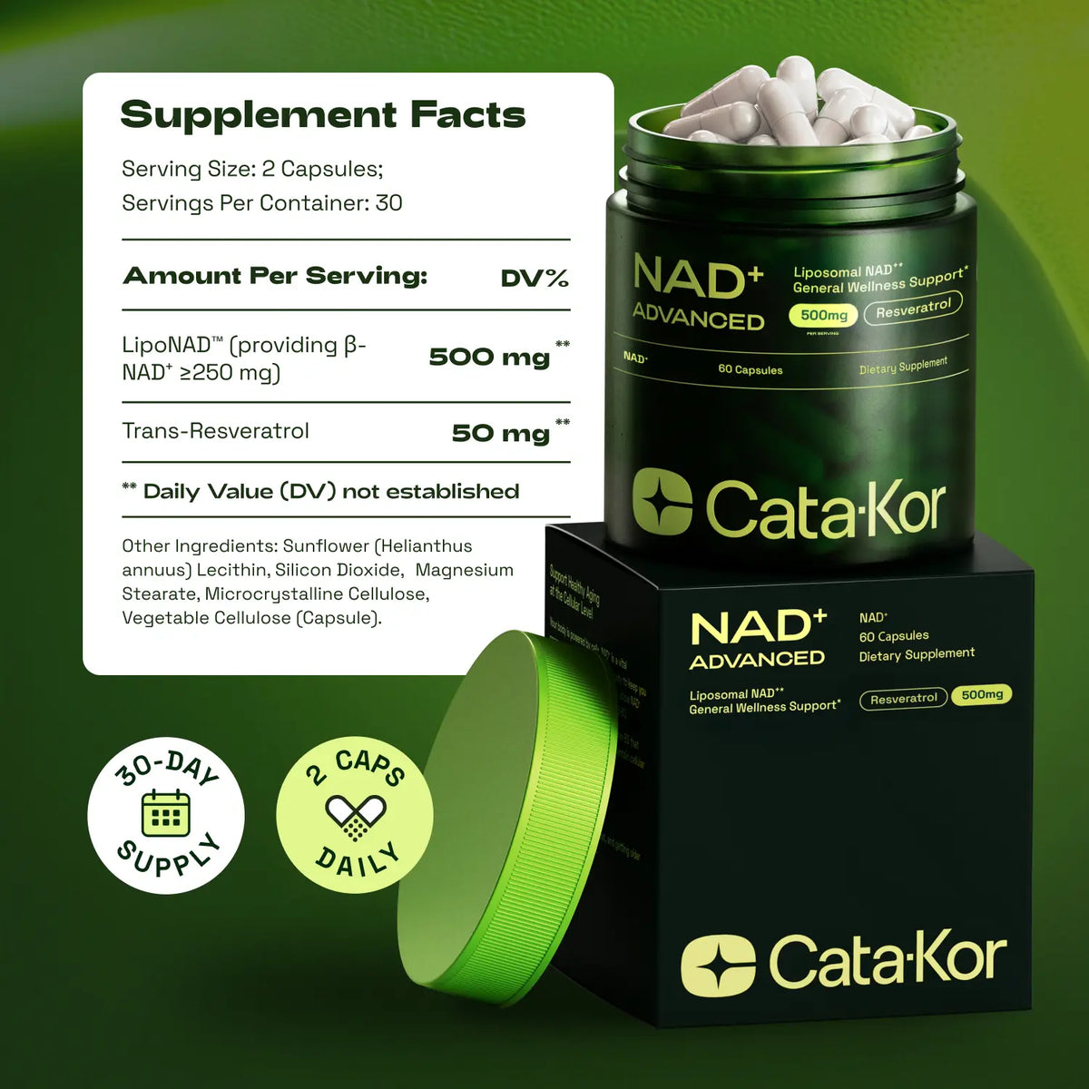 NMN Supplement Alternative: Wake Up Your Youthful Energy & Reverse Cellular Damage