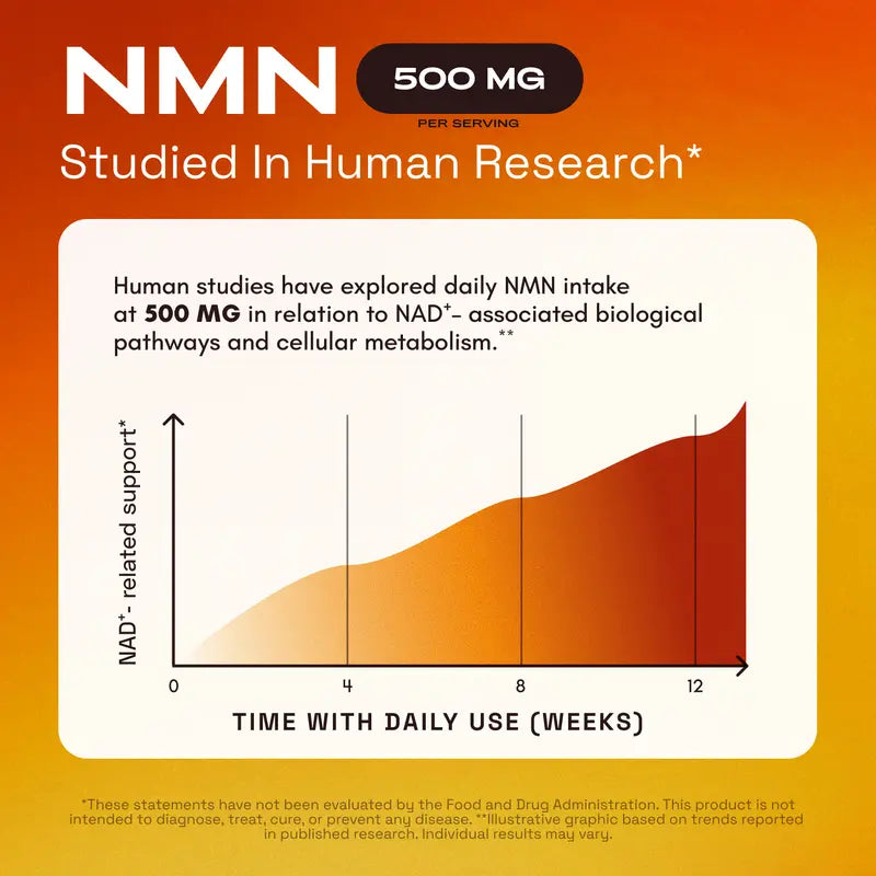 Recharge Cellular Energy & Boost NAD+ Levels Naturally